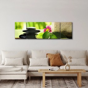 Obraz narzędzi do masażu (170x50 cm)