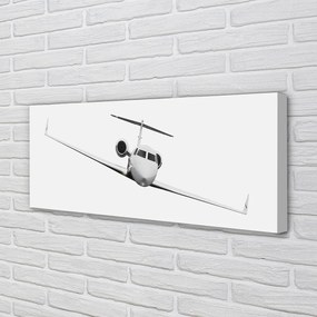 Obraz drukowany na płótnie Sylwetka Samolotu pod Niebem