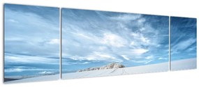 Obraz pola (170x50 cm)