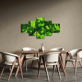 Obraz - Detal liścia (125x70 cm)