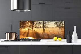 Panel Kuchenny Leśna Gęstwina Drzew