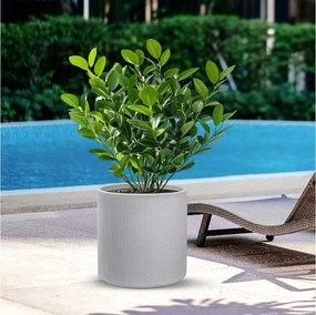 Okrągły, cylindryczny wazon z żywicy do roślin doniczkowych i ogrodowych, Modigliani Beige, 36x35 cm