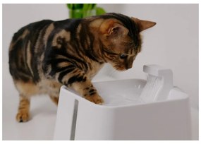 Poidełko fontanna dla czworonoga Epic Pet Zen – Plaček Pet Products