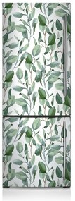 Okleina magnetyczna na lodówkę Liście eukaliptusa