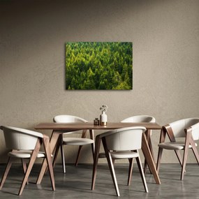 Obraz - Gęsty las (70x50 cm)