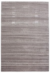 Dywan nowoczesny Plus beżowy 240 cm x 340 cm