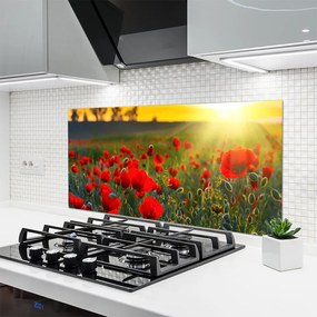 Panel Szklany Łąka Maki Roślina Natura