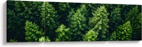 Obraz - Las (170x50 cm)