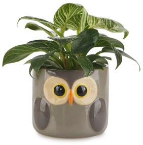 Ceramiczna doniczka ø 13,5 cm Owl – Balvi