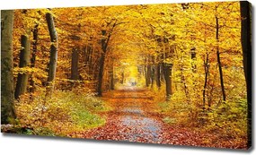 Duży Foto obraz na płótnie Las jesienią