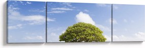 Obraz plaży z drzewem (170x50 cm)
