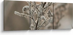 Obraz - Roślina w mrozie (z zegarem) (90x30 cm)