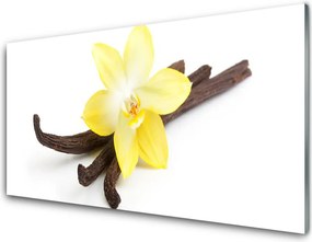 Szkło Dekoracyjne do Kuchni Egzotyczny Kwiat Wanilii