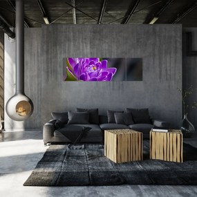 Obraz kwiatu (170x50 cm)