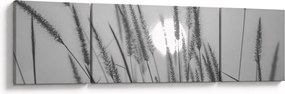 Obraz - Łąka o zachodzie słońca (170x50 cm)