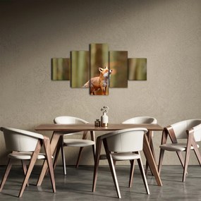 Obraz - Lis (125x70 cm)