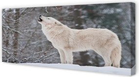Obraz drukowany na płótnie Wilk w Ośnieżonym Lesie