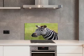 Szklany Panel Zebra w Naturalnym Środowisku