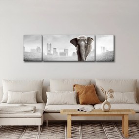 Obraz - Słonie w wielkim mieście, wersja czarno - biała (170x50 cm)