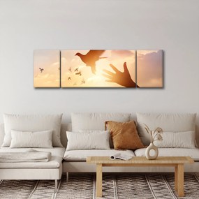 Obraz - Mała gołębico, leć! (170x50 cm)