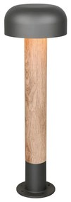Lampa zewnętrzna typu słupek ø 19 cm Fraser – Trio