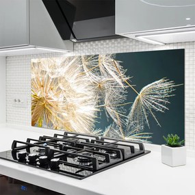 Panel Szklany do Kuchni Lekkość Mniszka Lekarskiego