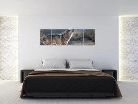 Obraz - Wyjący Wilk (170x50 cm)