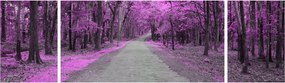 Obraz - Ścieżka przez park (170x50 cm)