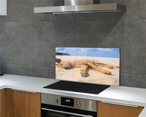 Szklany Panel Relaks Psa na Gorącym Piasku