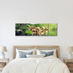 Obraz jeziora w dżungli Seszeli (170x50 cm)