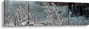 Obraz - Frozen Meadow (170x50 cm)