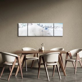 Obraz - Niedźwiedź polarny (170x50 cm)