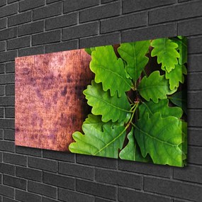 Zdjęcie na płótnie Szlachetne Liście Dębu
