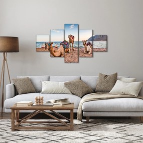 Obraz wielbłądów (125x70 cm)
