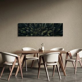 Obraz - Las (170x50 cm)