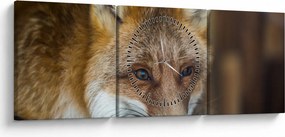 Obraz lisa (z zegarem) (90x30 cm)