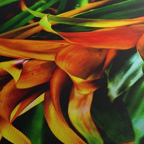 Obraz pomarańczowego kwiatu (125x70 cm)