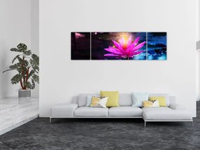 Obraz lilii wodnej na wodzie (170x50 cm)