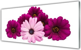 Szkło do Kuchni na Ścianę Letni Ogród W Pełnym Słońcu