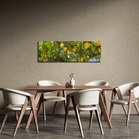 Obraz - Drzewo cytrynowe (z zegarem) (90x30 cm)