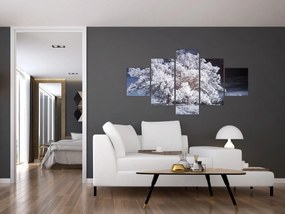 Obraz - Śnieżnobiałe drzewo (125x70 cm)