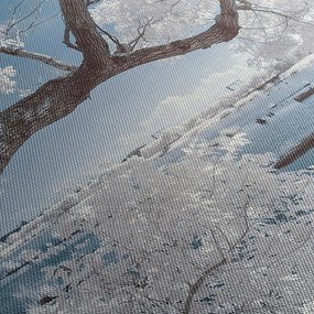Obraz ośnieżonego drzewa nad wodą (z zegarem) (90x30 cm)