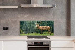 Panel nad Blat Kuchenny Jeleń na Otwartym Polu