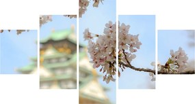 Obraz - Sakura (125x70 cm)