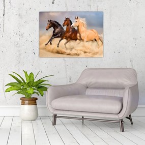 Obraz - Dzikie konie (70x50 cm)