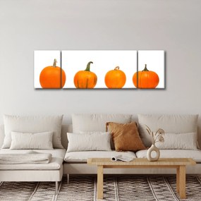 Obraz dyni (170x50 cm)