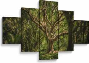 Obraz drzewa (125x70 cm)