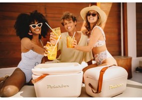 Szaroróżowy pojemnik chłodzący 12 l Classic – Polarbox