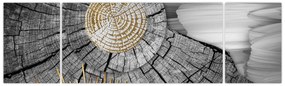 Obraz - Pień drzewa w kolażu (170x50 cm)