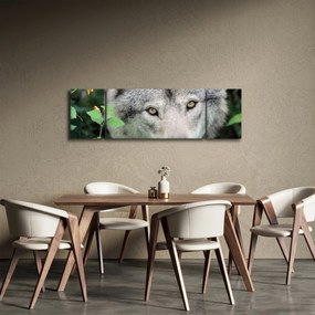 Obraz - Portret wilka (170x50 cm)